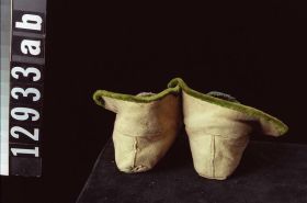 Image representing Moccasin.
