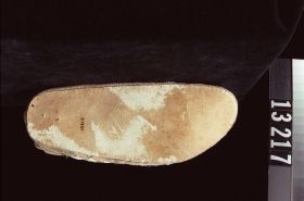 Image representing Moccasin.