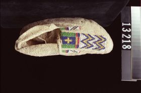 Image representing Moccasin.
