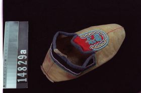 Image representing Moccasin.