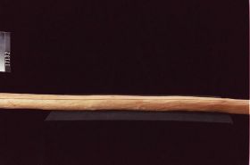 Image representing Stake.