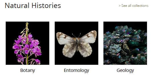 Clicking through collections tiles to specify collection
